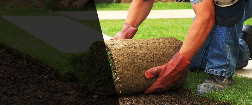 Dalton Landscapers